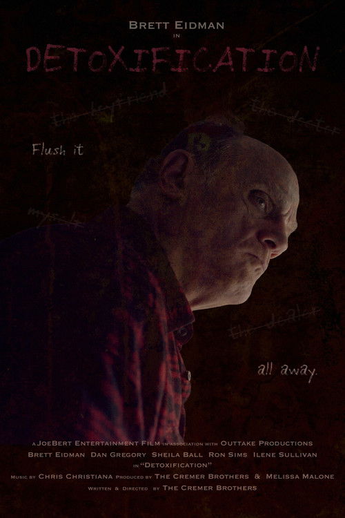 Detoxification (2024) poster