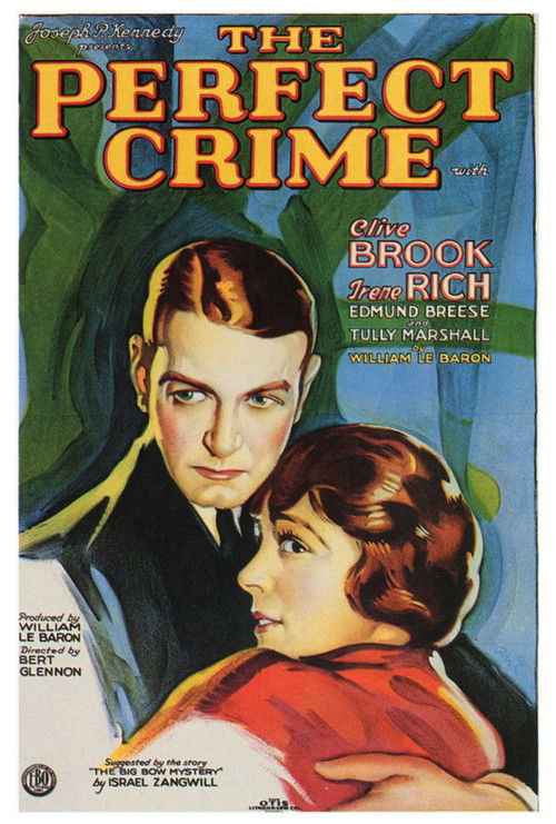 The Perfect Crime (1928) poster