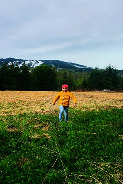 Days of Flux (2020) poster