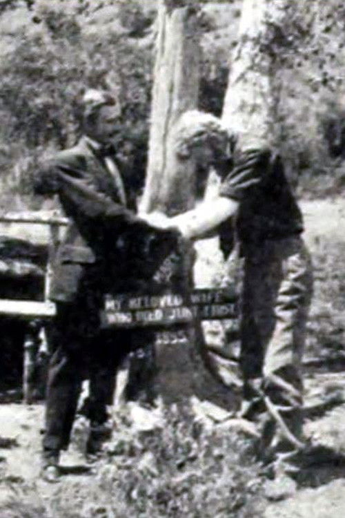 In the Right of Way (1911) poster