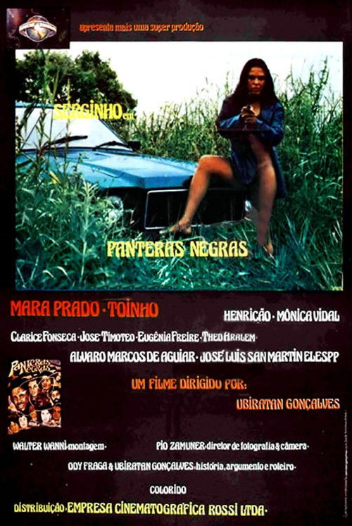 As Panteras Negras do Sexo (1983) poster