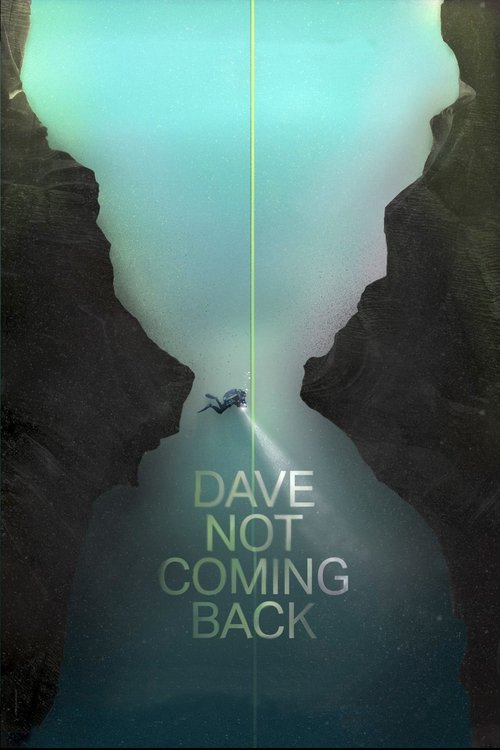 Dave Not Coming Back (2020) poster