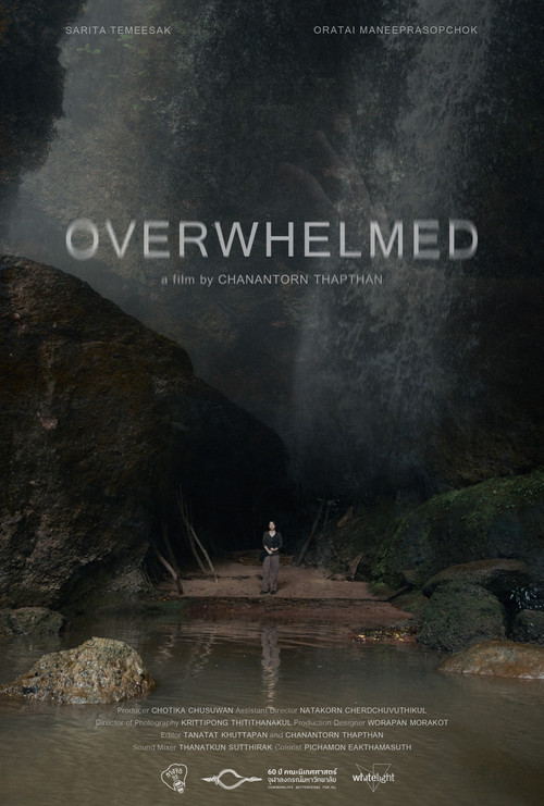 OVERWHELMED (2025) poster