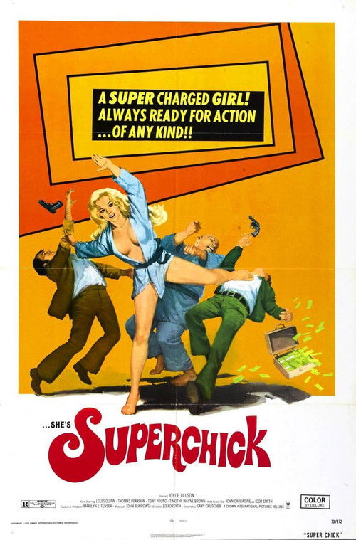 Superchick (1973) poster