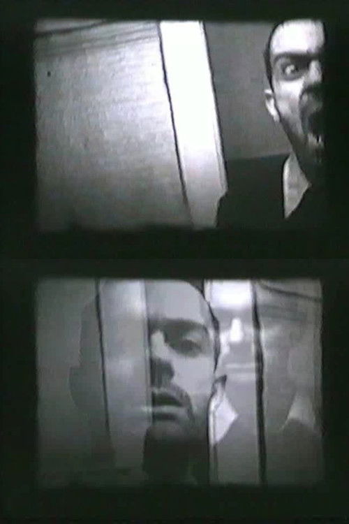 Mimică (1976) poster