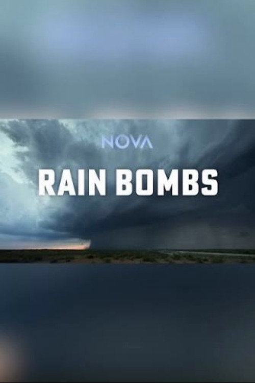 Rain Bomb (2026) poster