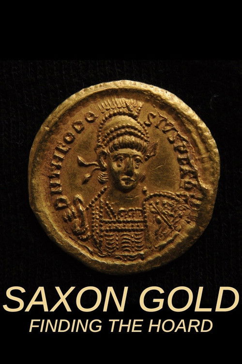 Saxon Gold: Finding the Hoard (2010) poster