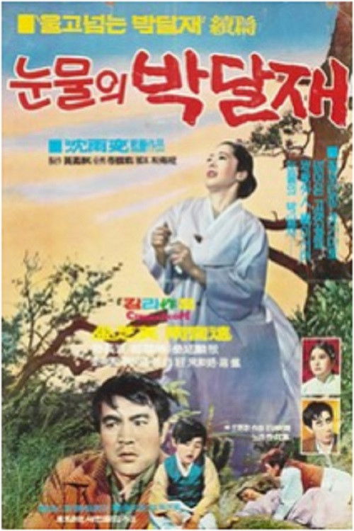 눈물의 박달재 (1970) poster