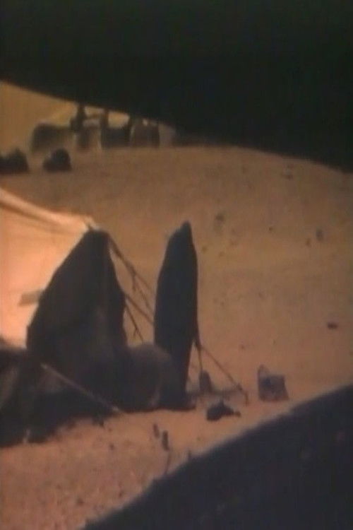 The Sahara is not for sale (1977) poster