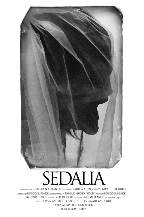 SEDALIA (2021) poster