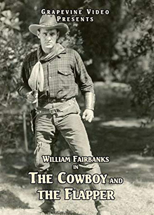 The Cowboy and the Flapper (1924) poster