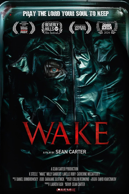 Wake (2024) poster
