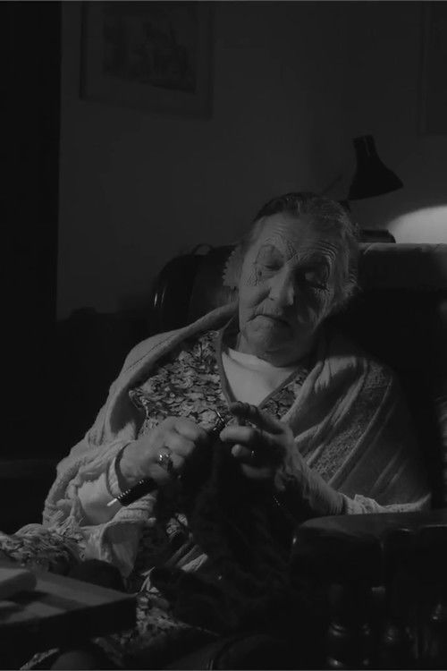 The Domestic Fly (2017) poster