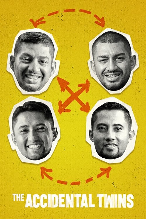 The Accidental Twins (2024) poster