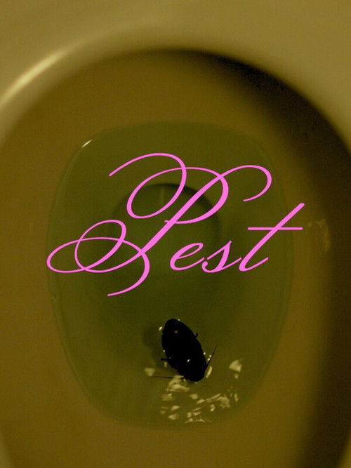 Pest (2024) poster