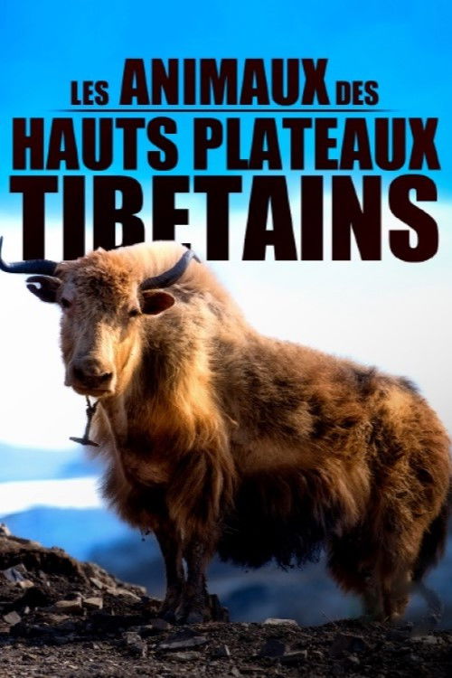 Les animaux des hauts plateaux tibétains (2020) poster