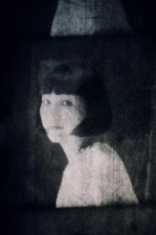 Film Installation Workshop 2015 (2015) poster