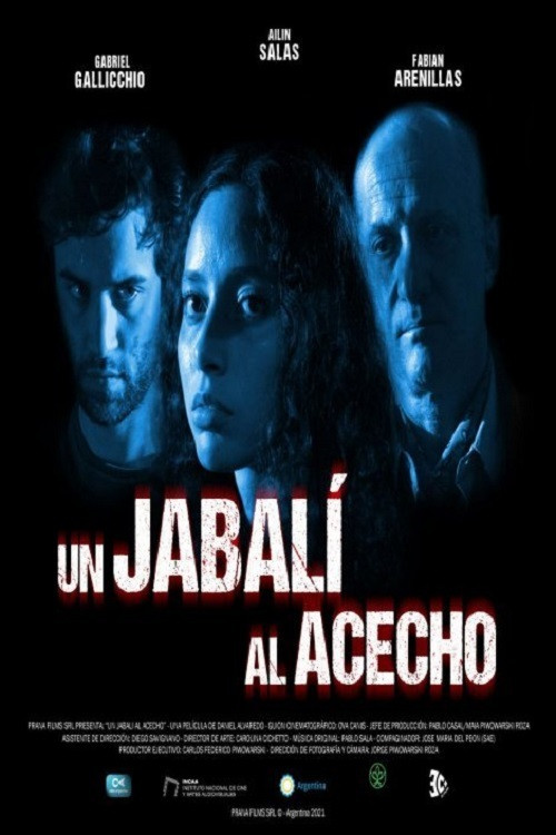 Un jabalí al acecho (2021) poster