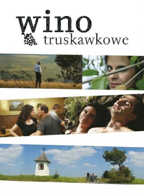 Wino truskawkowe (2009) poster