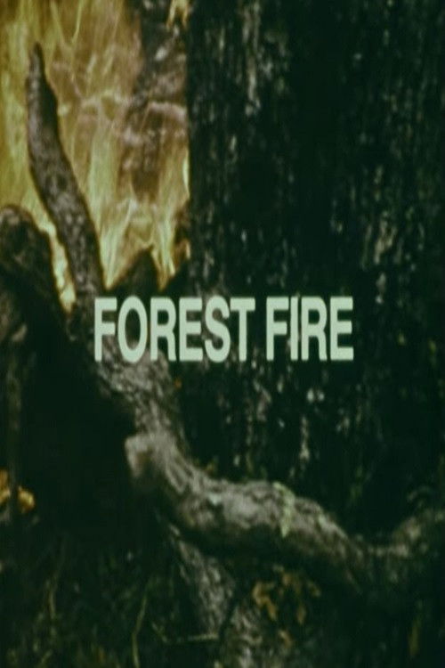 Your Chance to Live: Forest Fire (1973) poster