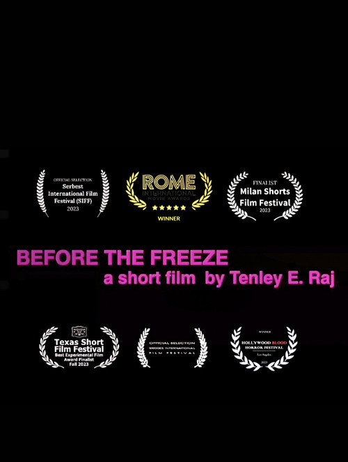 Before the Freeze (2023) poster