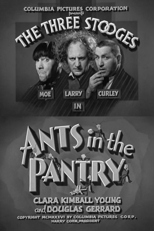 Ants in the Pantry (1936) poster