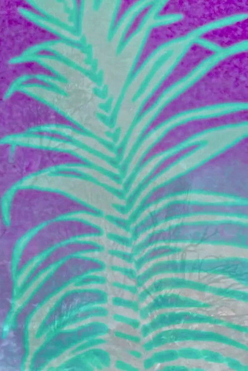 EVANESCENT NSW (2023) poster