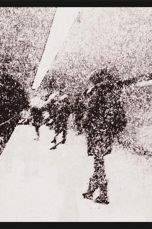 The Voyage (2025) poster