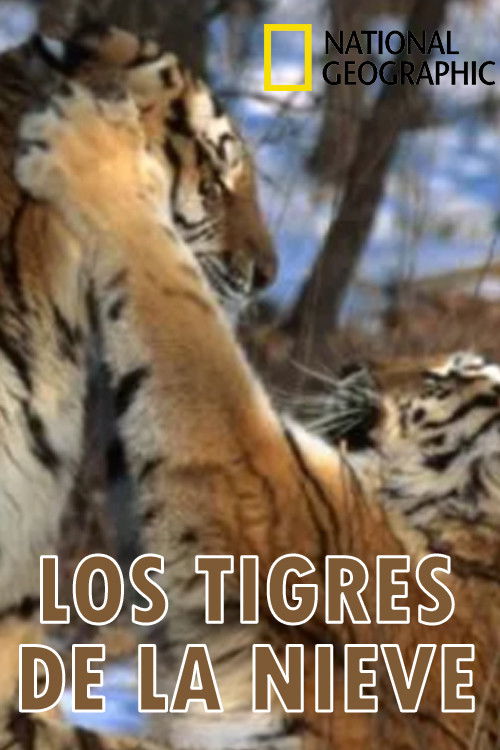 Los tigres de la nieve (1996) poster