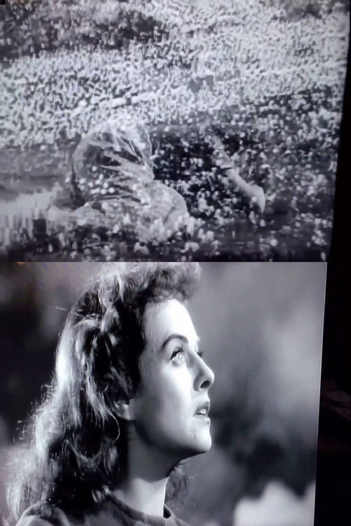 The War of Images (2021) poster