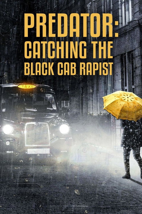 Predator: Catching the Black Cab Rapist (2021) poster