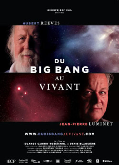 Du Big Bang au Vivant (2011) poster