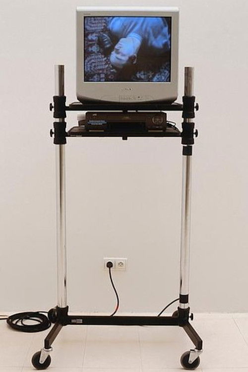 Douglas Gordon sings the best of Lou Reed & The Velvet Underground (For Bas Jan Ader) (1993) poster