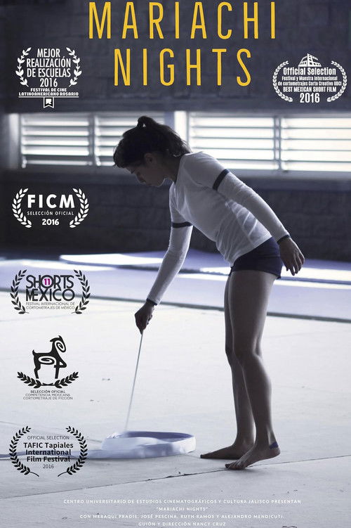 Mariachi Nights (2016) poster