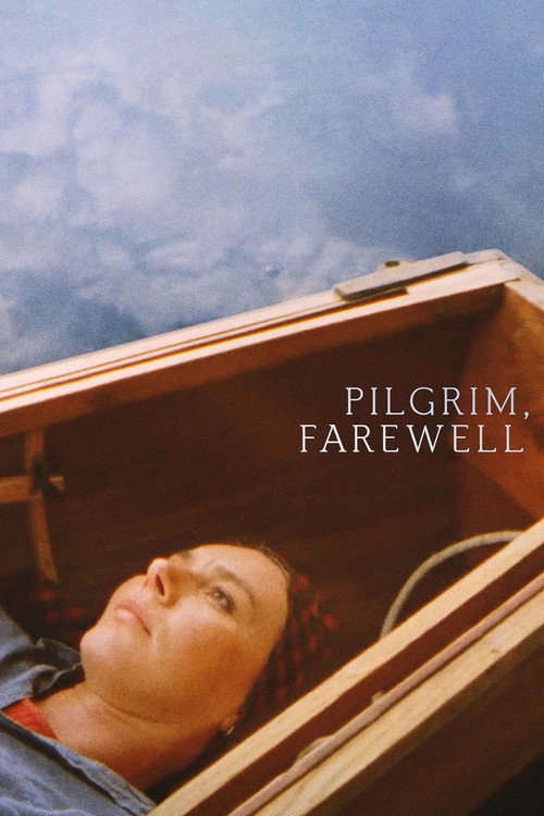Pilgrim, Farewell (1980) poster