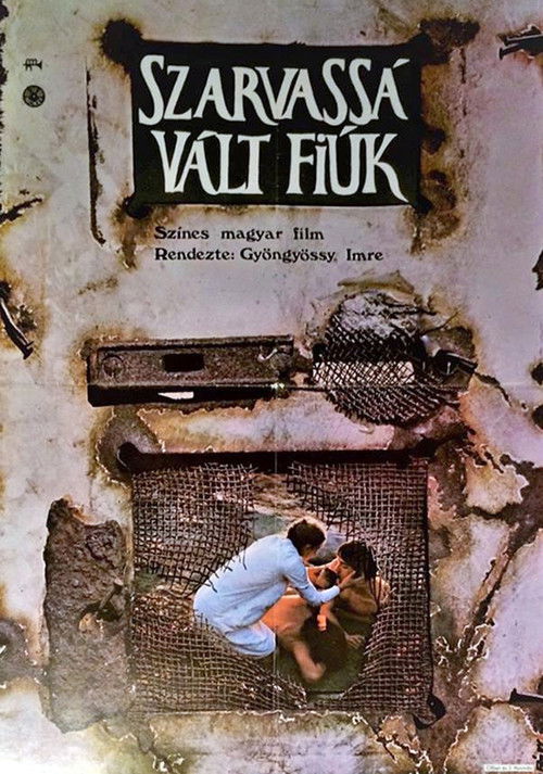 Sons of Fire (1973) poster