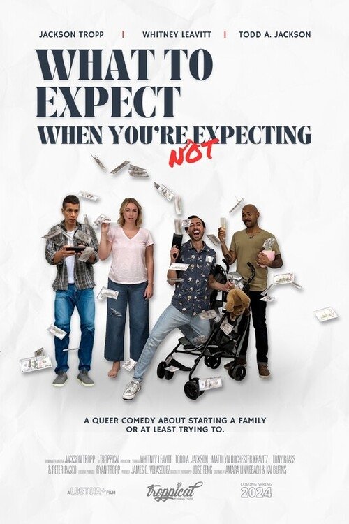 What to Expect When You're Not Expecting (2024) poster