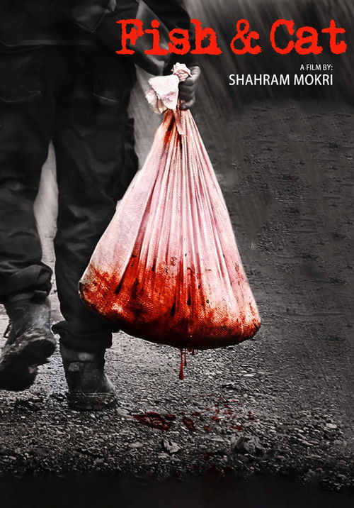 ماهی و گربه (2013) poster