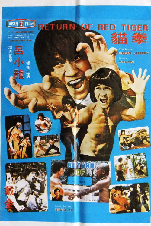 Return Of Red Tiger (1978) poster