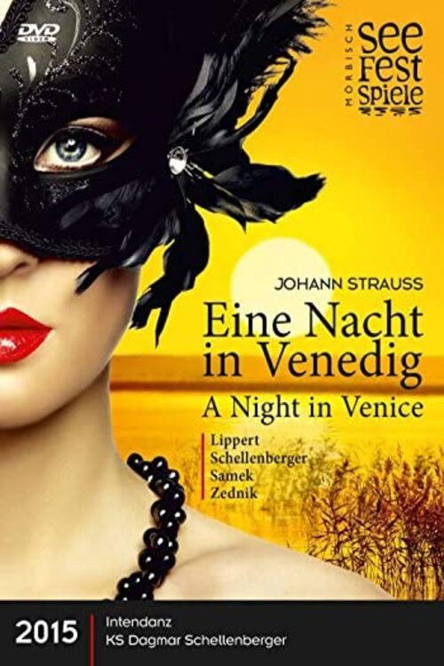 Eine Nacht in Venedig (2015) poster