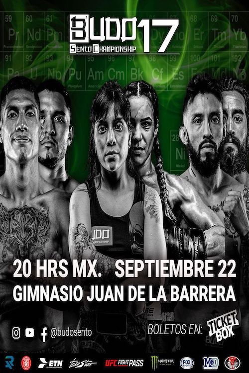 Budo Sento Championship 17 (2023) poster