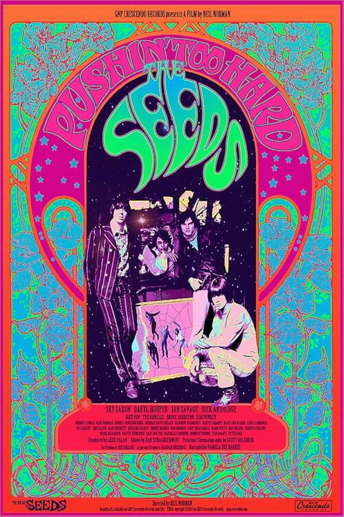 The Seeds: Pushin' Too Hard (2014) poster