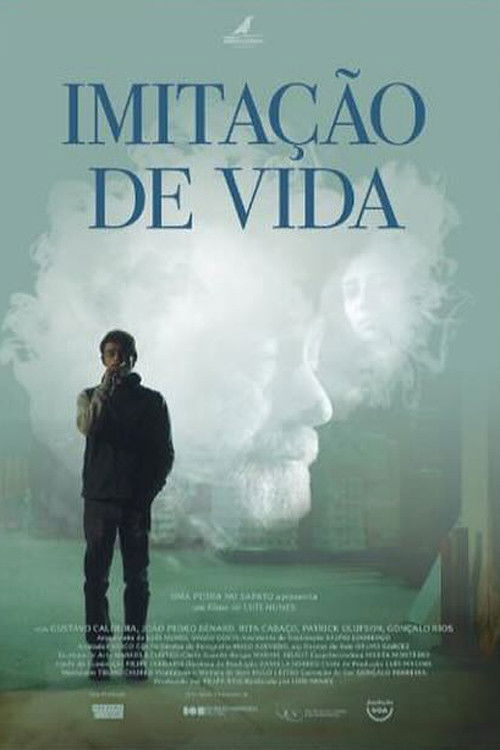 Imitação de Vida (2025) poster