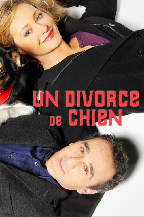Un divorce de chien (2010) poster