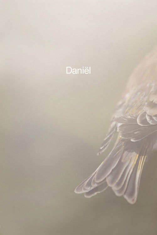 Daniël (2012) poster