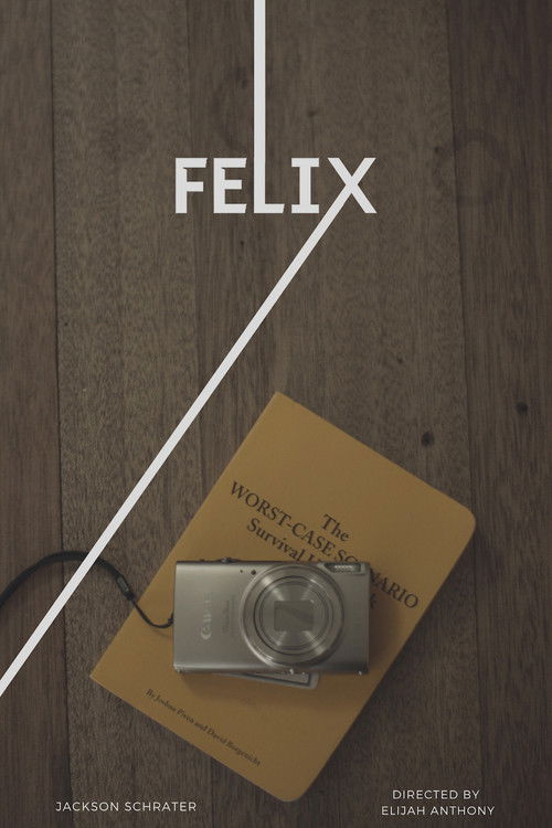 Felix (2019) poster