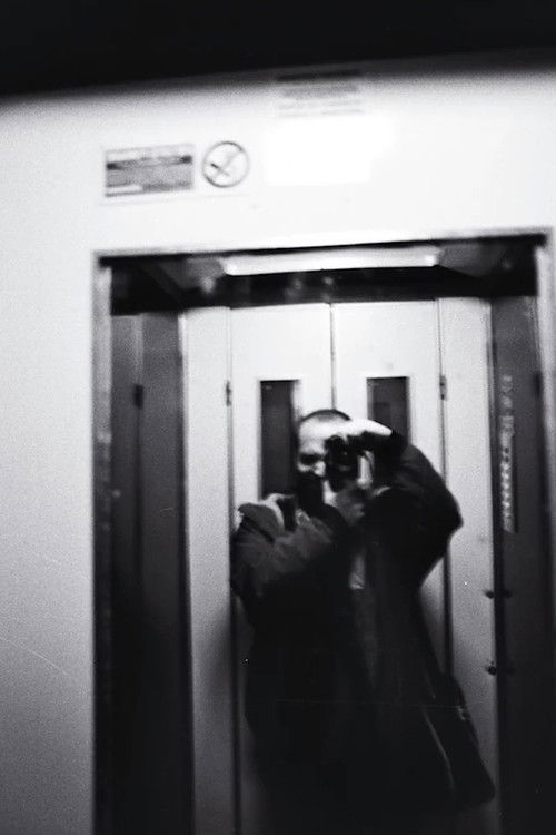 Self-portrait (2015) poster