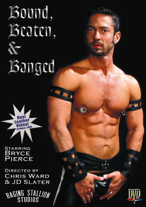 Bound, Beaten & Banged (2000) poster