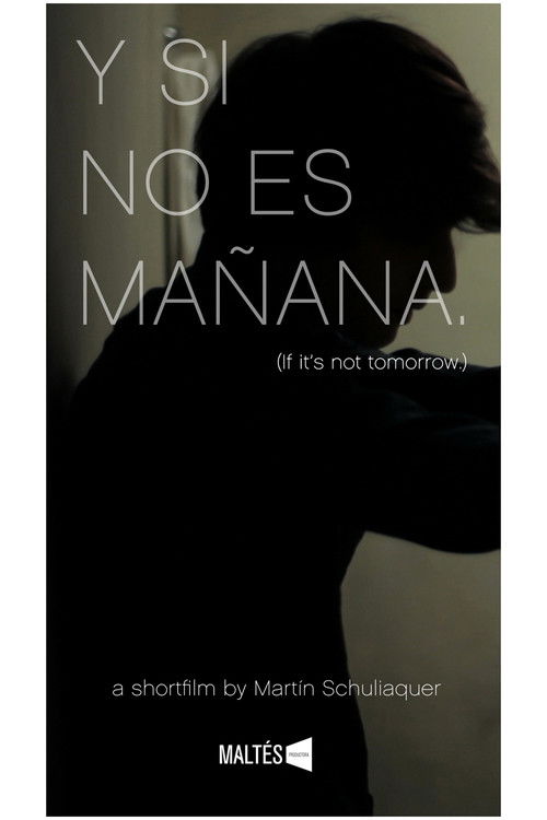 Y si no es mañana (2013) poster