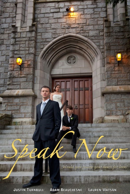 Speak Now (2011) poster